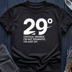 29°: Critical Degree