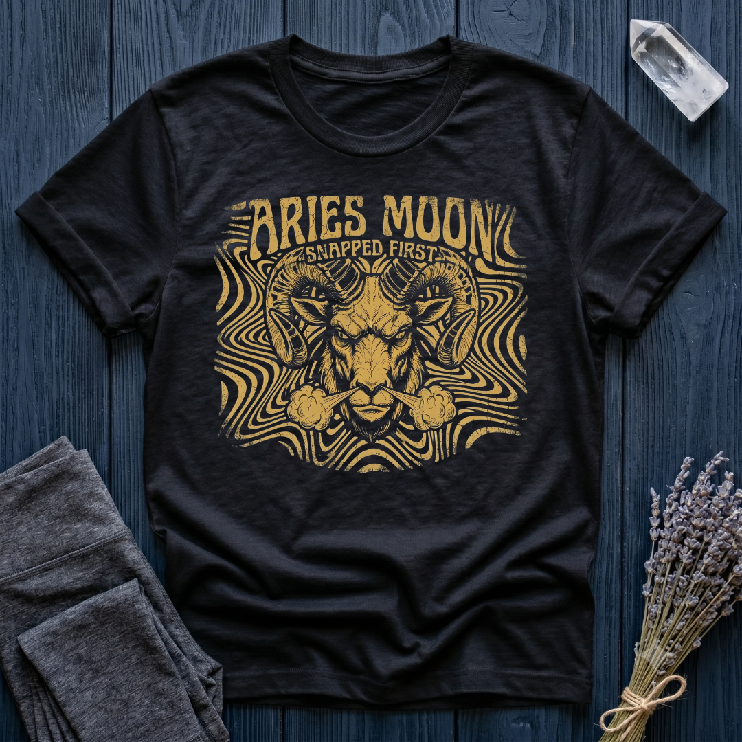 ARIES MOON | The Known Issue