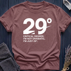 29°: Critical Degree