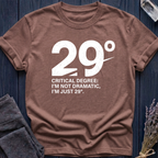 29°: Critical Degree