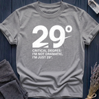 29°: Critical Degree