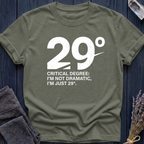 29°: Critical Degree