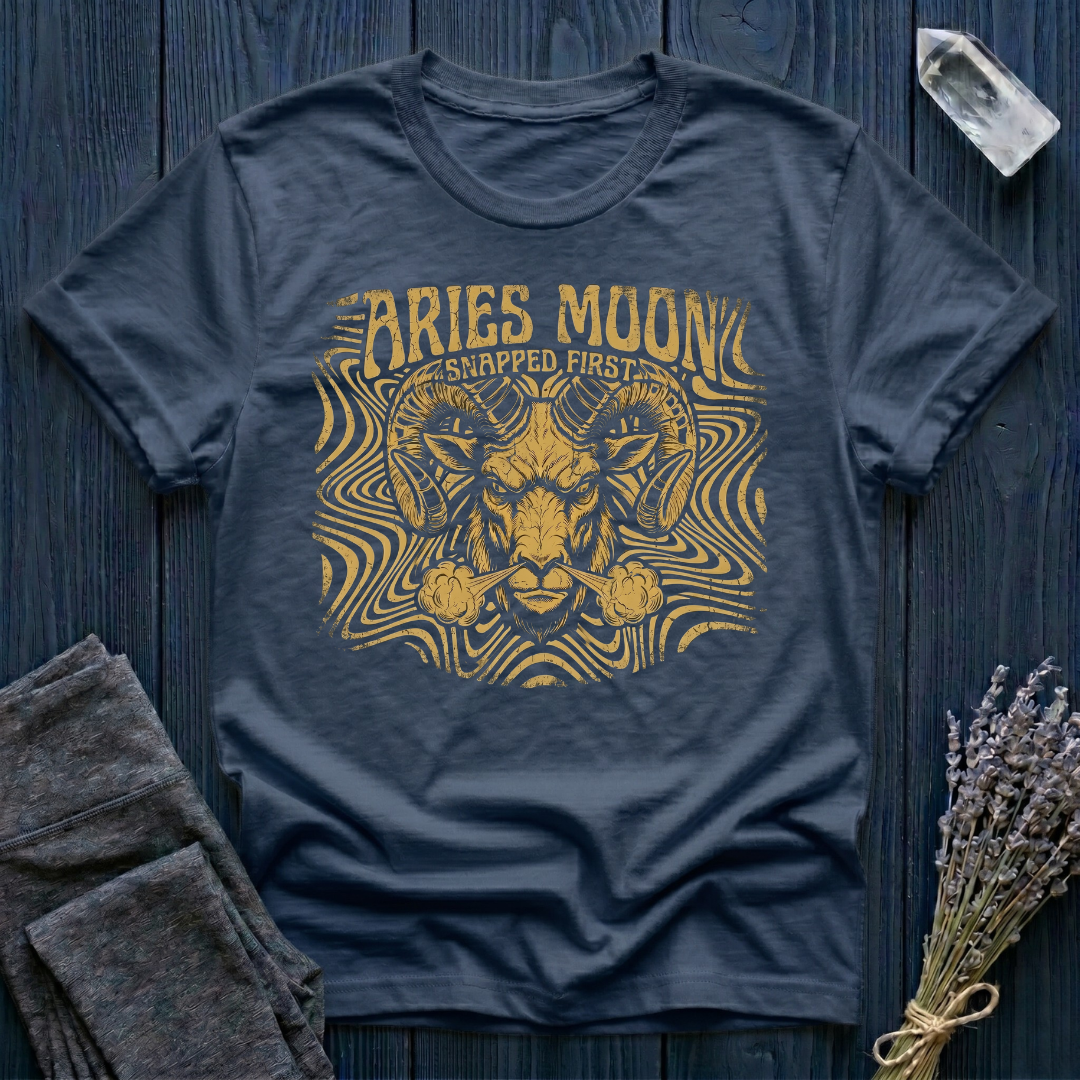 ARIES MOON | The Known Issue