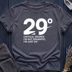 29°: Critical Degree