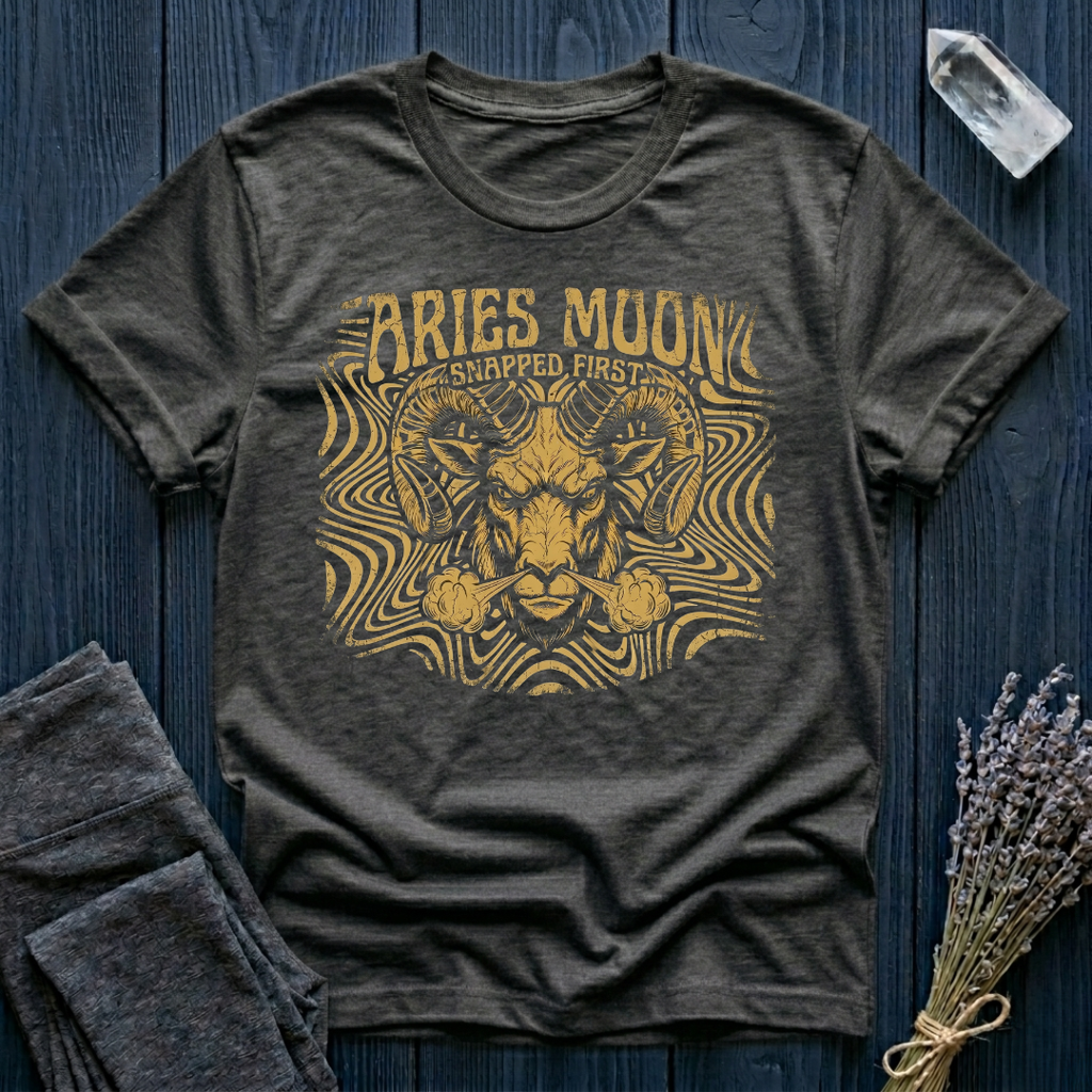 ARIES MOON | The Known Issue