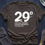 29°: Critical Degree